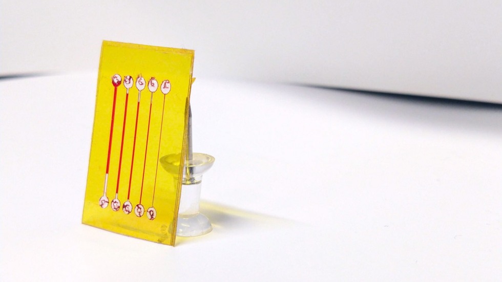 Microfluidic channel by Abigail Taylor